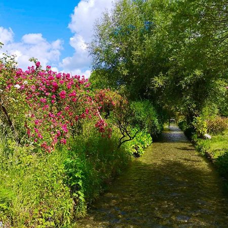 Aux Jolies Sources Bed & Breakfast Saint-Aubin-sur-Scie Exterior foto